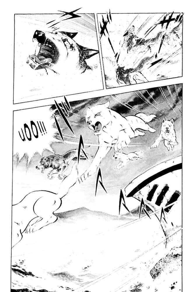 Silver Fang – The Shooting Star Gin – Chapter 24 - Page 16