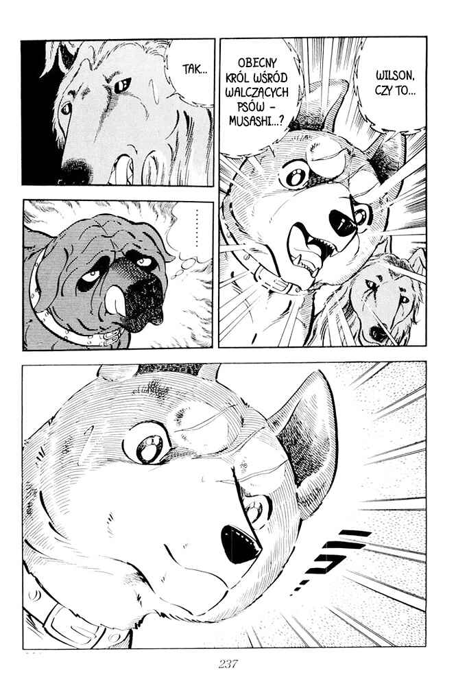 Silver Fang – The Shooting Star Gin – Chapter 24 - Page 34