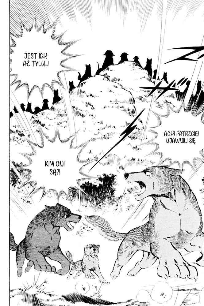 Silver Fang – The Shooting Star Gin – Chapter 24 - Page 49