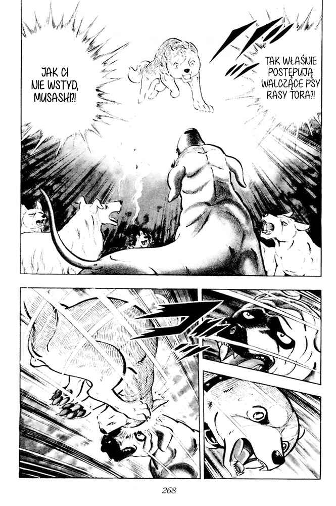 Silver Fang – The Shooting Star Gin – Chapter 24 - Page 65