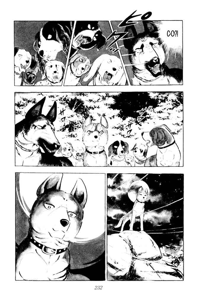 Silver Fang – The Shooting Star Gin – Chapter 11 - Page 9