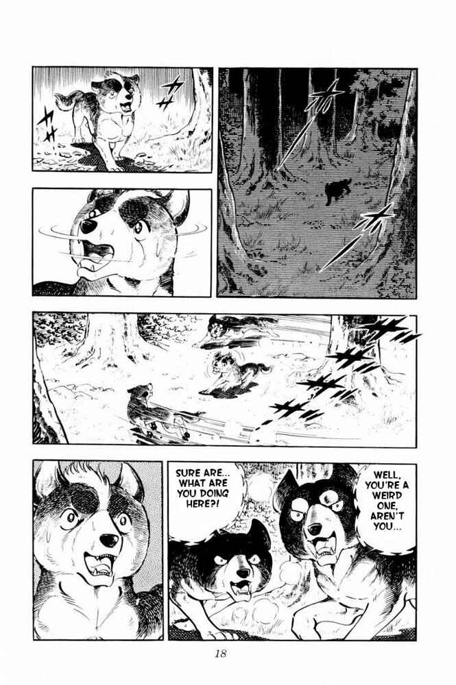 Silver Fang – The Shooting Star Gin – Chapter 31 - Page 19