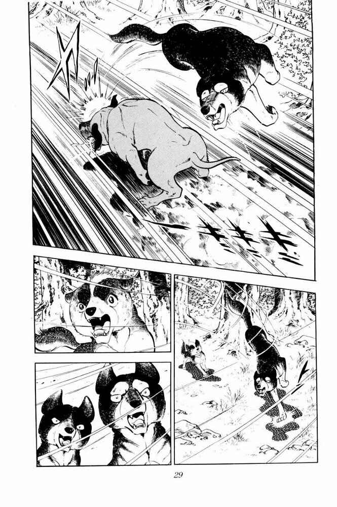 Silver Fang – The Shooting Star Gin – Chapter 31 - Page 29