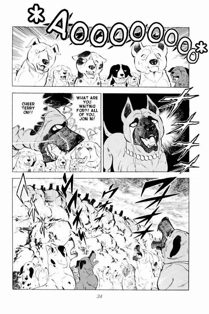 Silver Fang – The Shooting Star Gin – Chapter 31 - Page 34