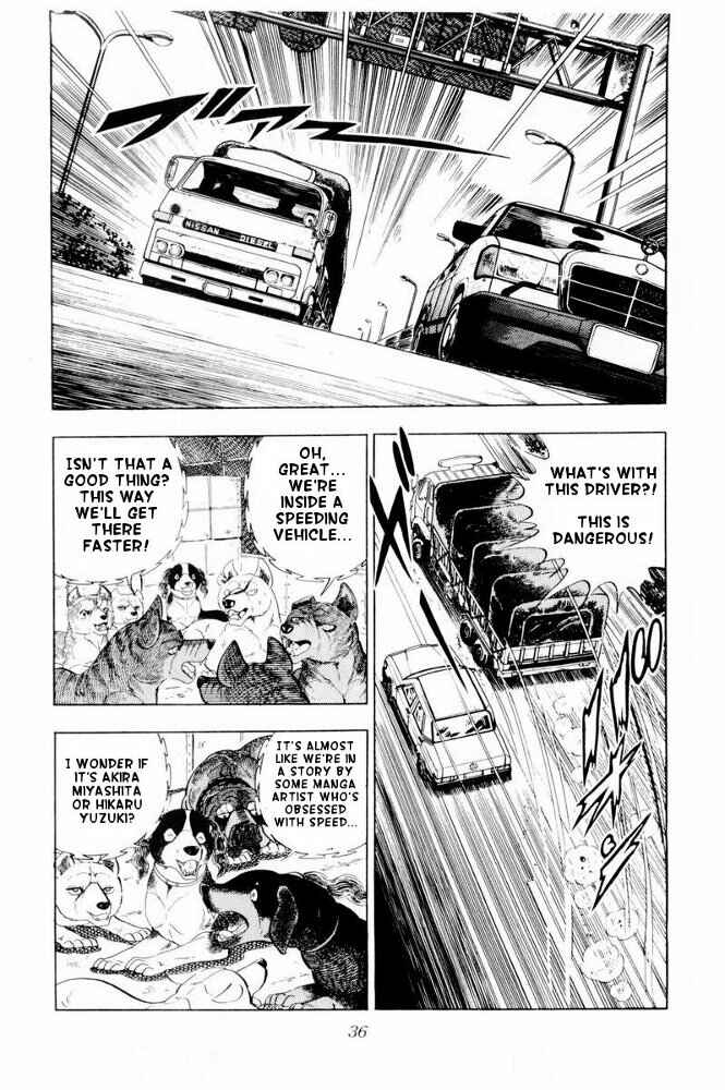 Silver Fang – The Shooting Star Gin – Chapter 31 - Page 36