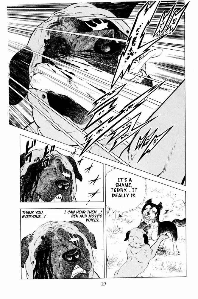 Silver Fang – The Shooting Star Gin – Chapter 31 - Page 39