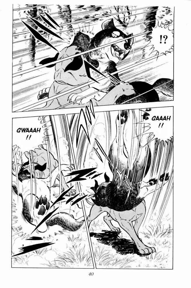 Silver Fang – The Shooting Star Gin – Chapter 31 - Page 40