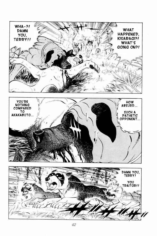 Silver Fang – The Shooting Star Gin – Chapter 31 - Page 42