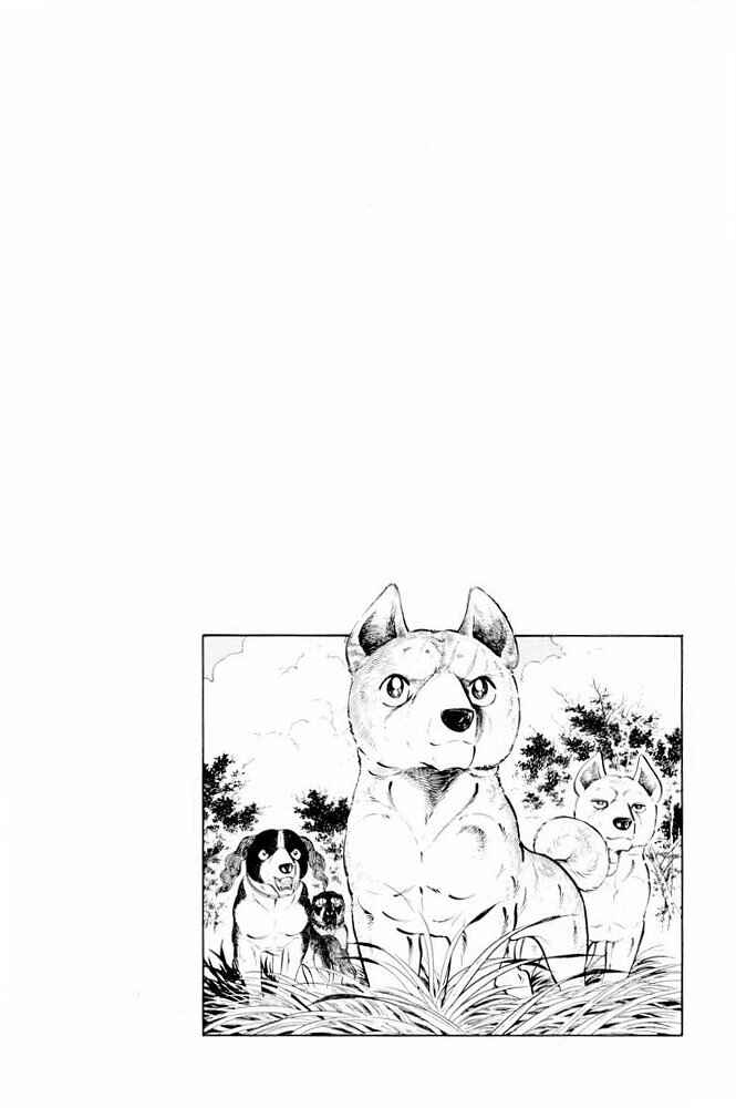 Silver Fang – The Shooting Star Gin – Chapter 31 - Page 46