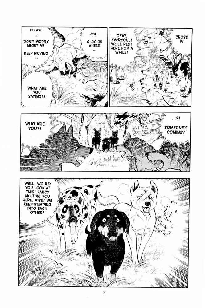 Silver Fang – The Shooting Star Gin – Chapter 31 - Page 8