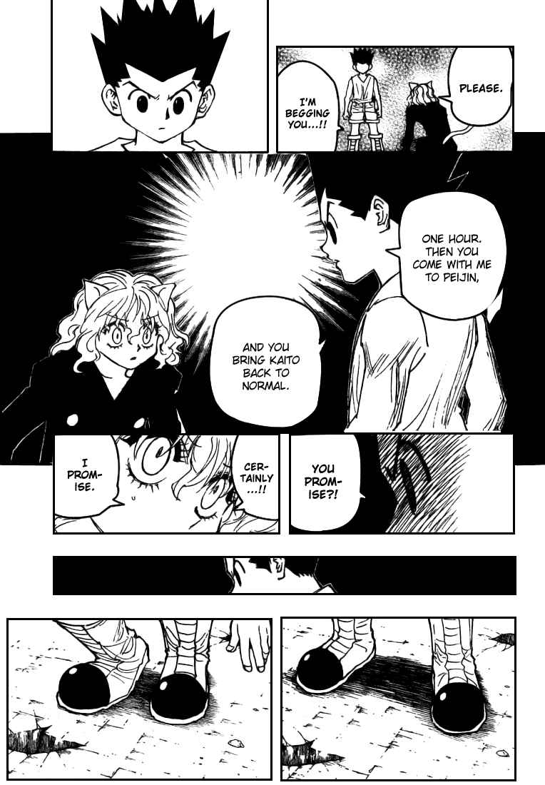 Hunter x Hunter Chapter 275 - Page 15