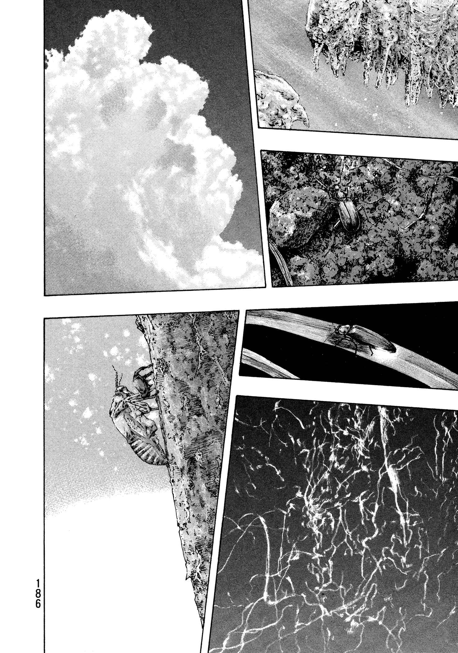 Shamo Chapter 134 - Page 16