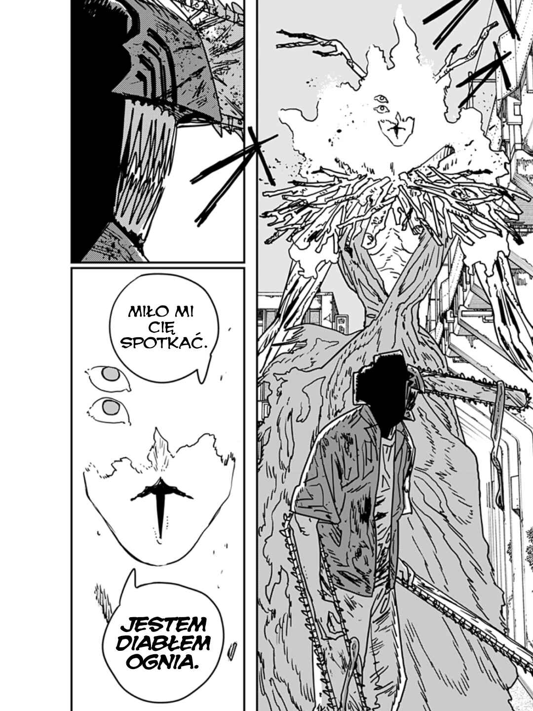 Chainsaw Man Chapter 204 - Page 15