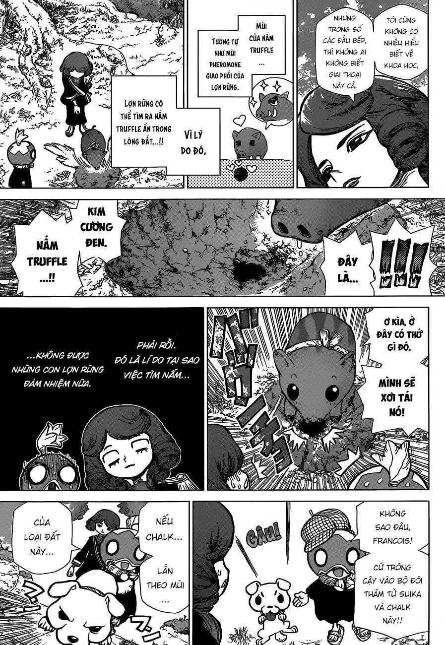 Dr.STONE Chapter 94 - Page 14