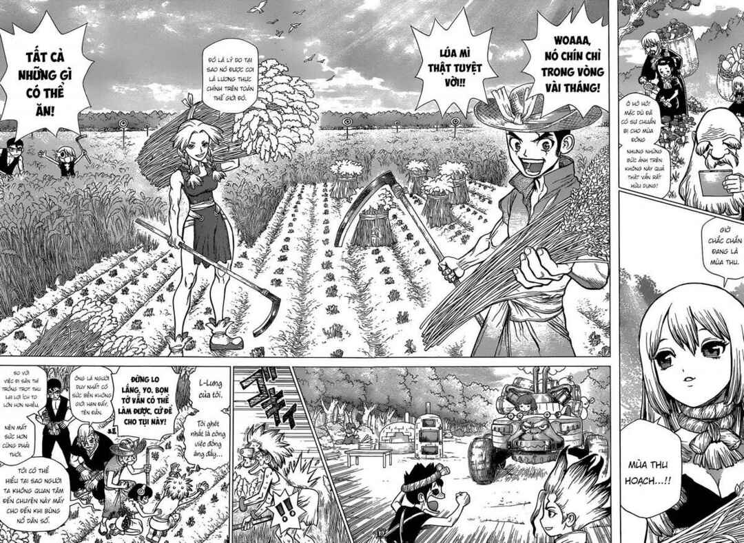 Dr.STONE Chapter 94 - Page 5