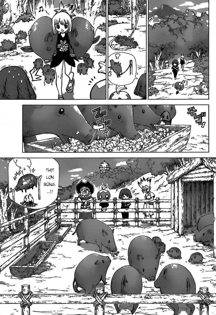 Dr.STONE Chapter 94 - Page 9