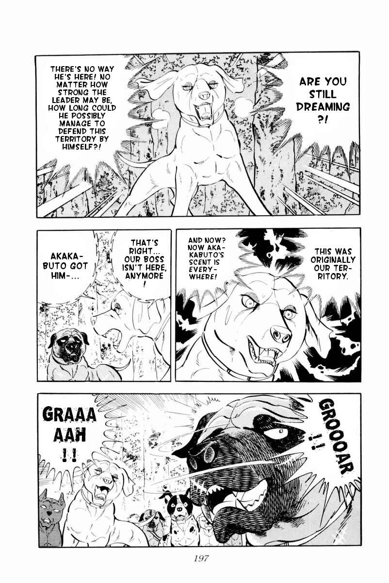 Silver Fang – The Shooting Star Gin – Chapter 29 - Page 11