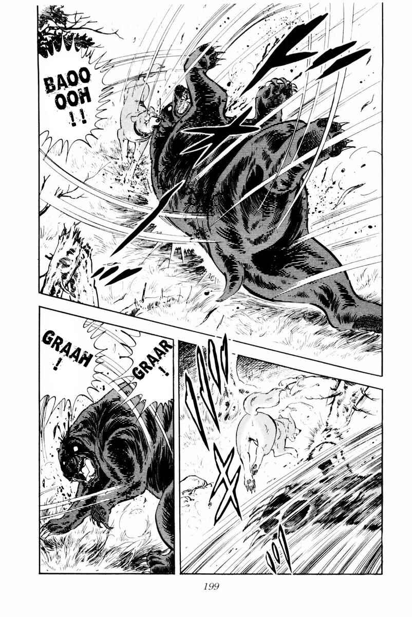 Silver Fang – The Shooting Star Gin – Chapter 29 - Page 13
