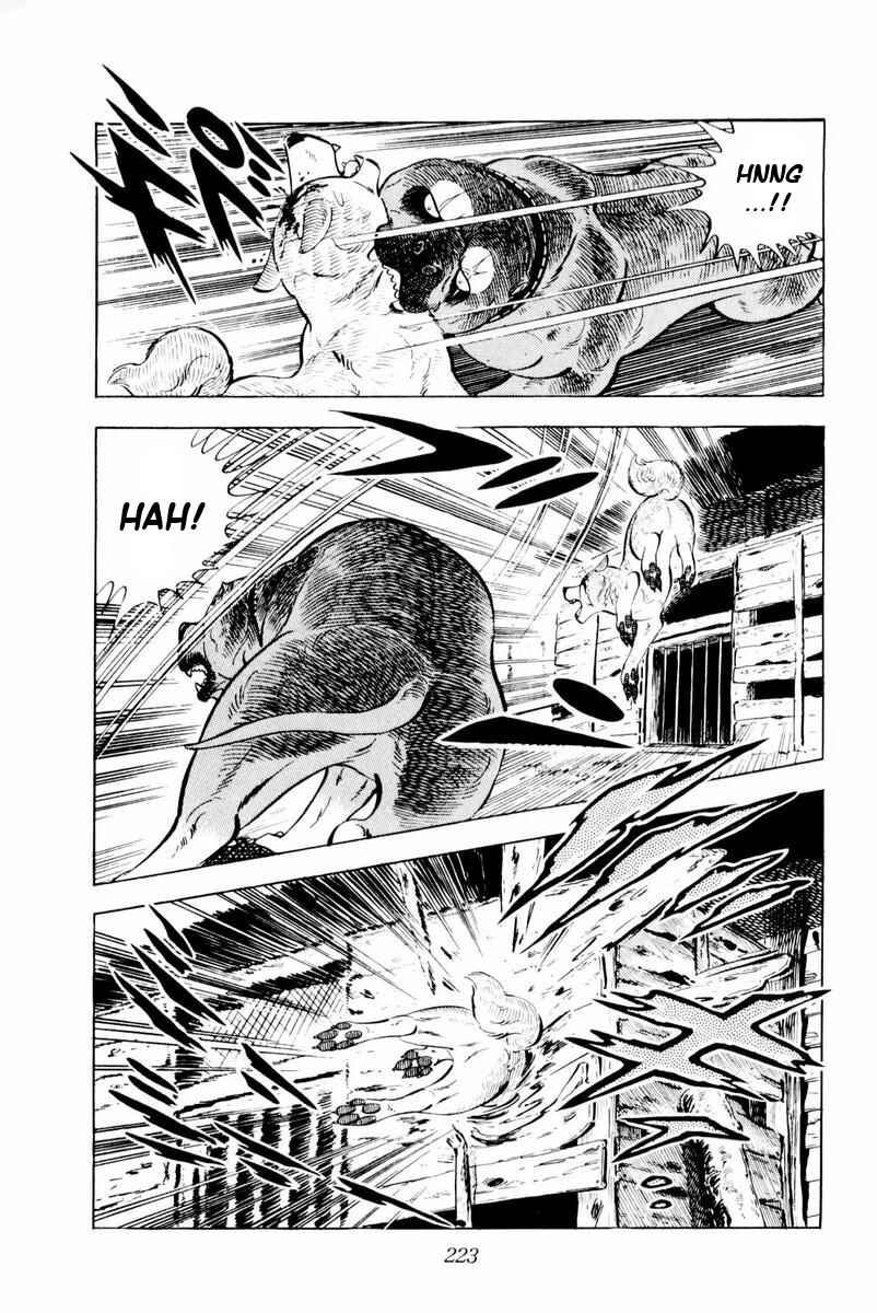Silver Fang – The Shooting Star Gin – Chapter 29 - Page 37