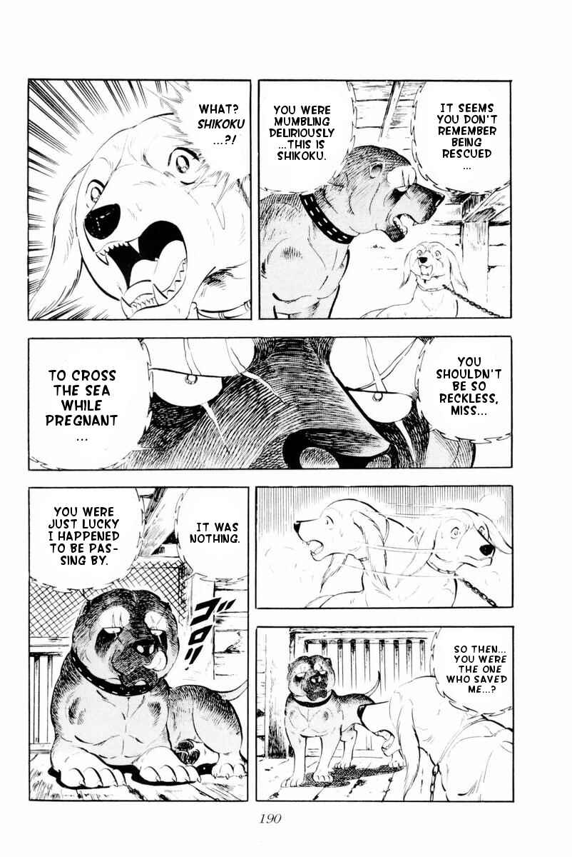 Silver Fang – The Shooting Star Gin – Chapter 29 - Page 4