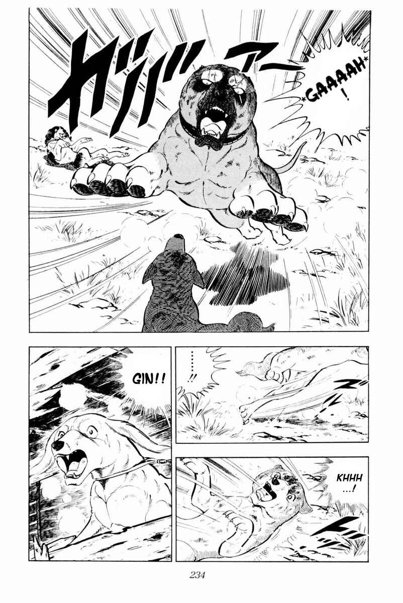Silver Fang – The Shooting Star Gin – Chapter 29 - Page 48
