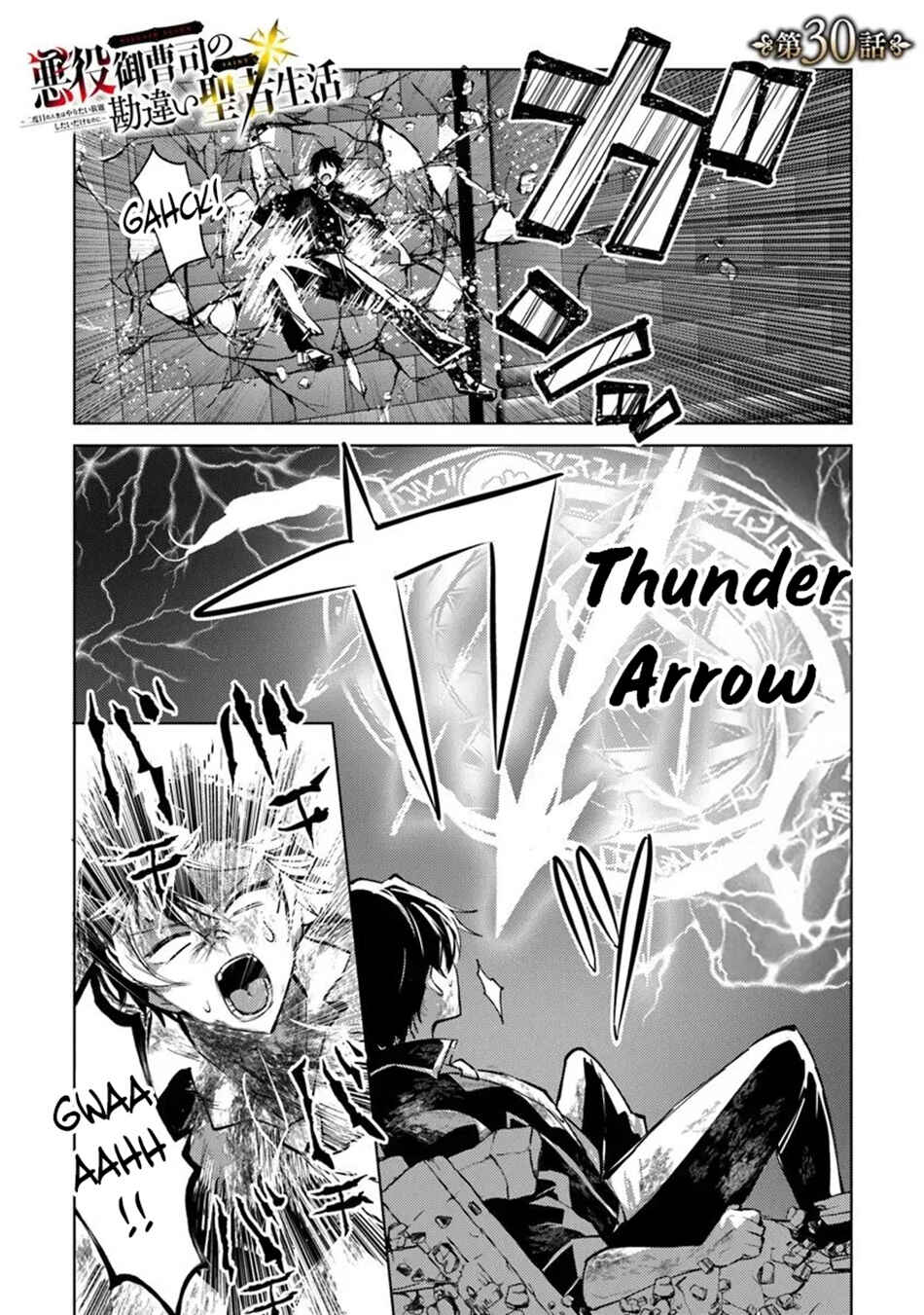 Akuyaku Onzoushi no Kanchigai Seija Seikatsu ~Nidome no Jinsei wa Yaritai Houdai Shitai Dake na no ni~ Chapter 30 - Page 2