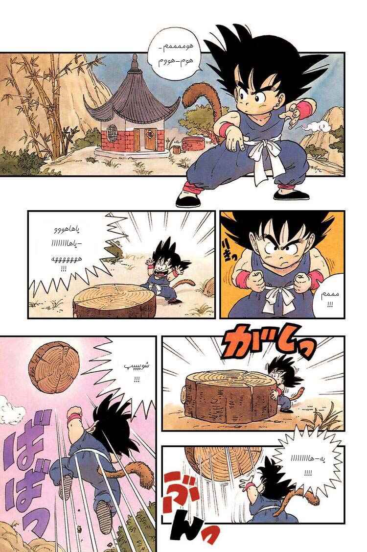 Dragon Ball Chapter 1 - Page 4