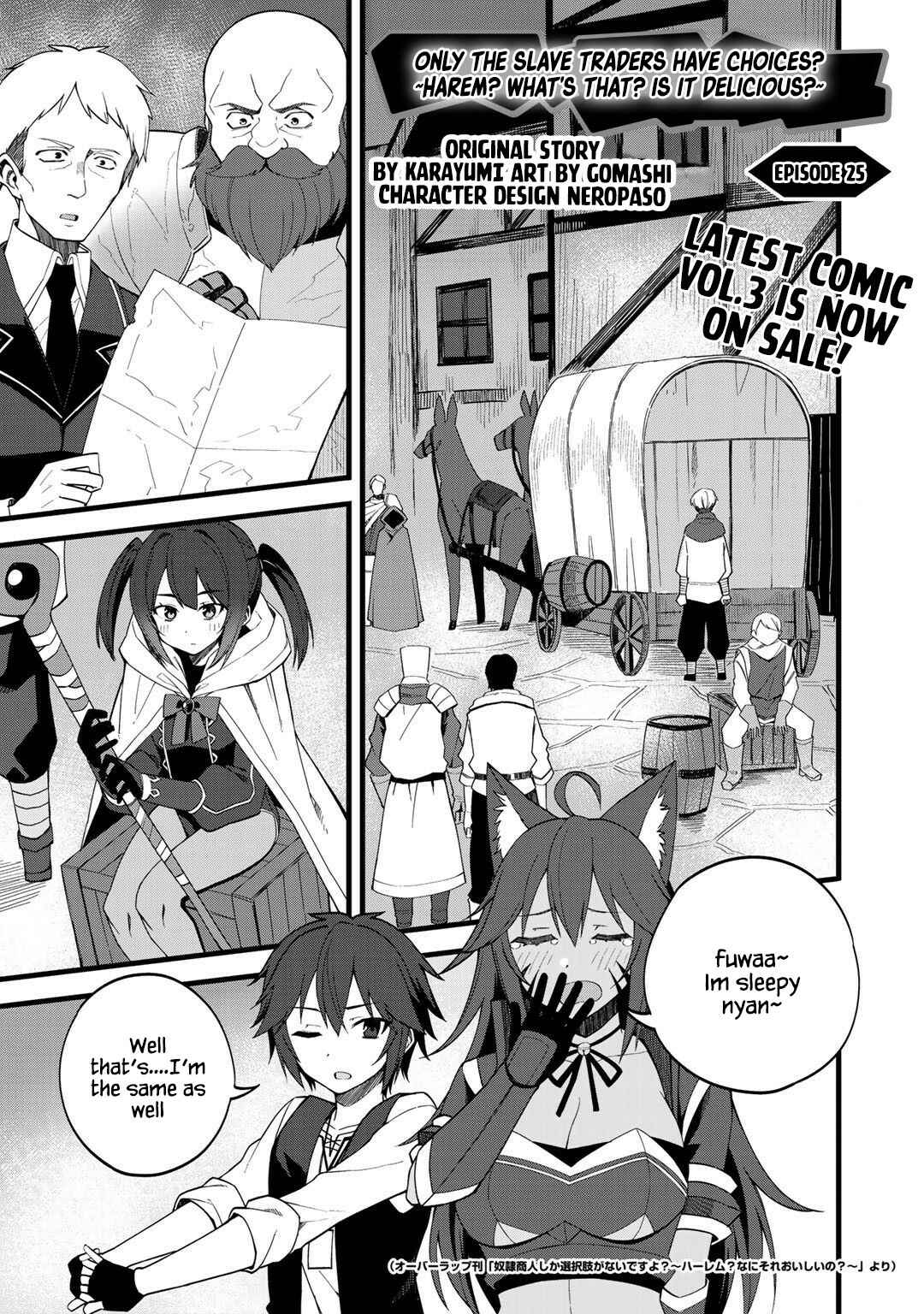 Dorei Shounin shika Sentakushi ga Nai desu yo? ~Harem? Nani Sore Oishii no?~ Chapter 25 - Page 1