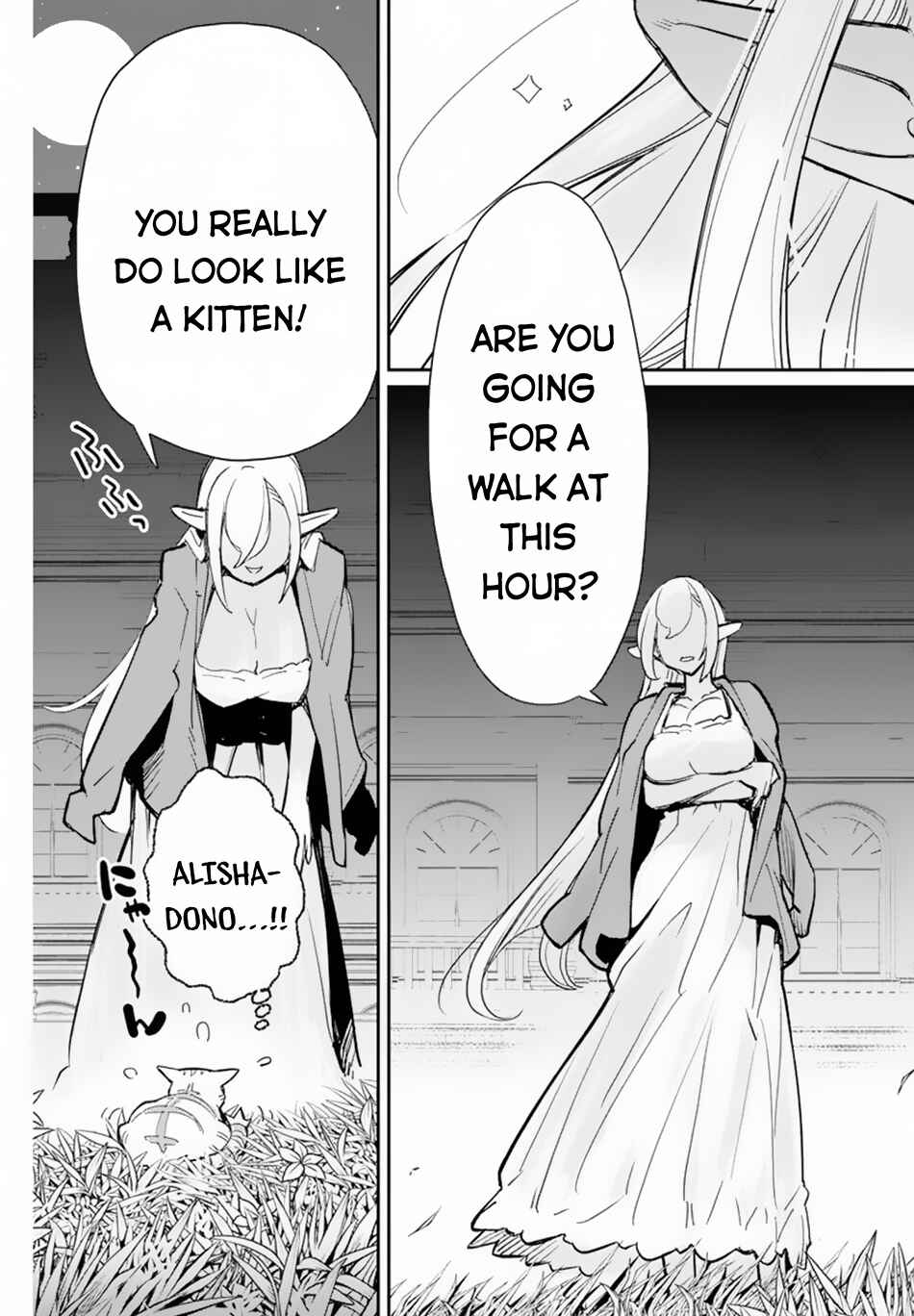 S-Rank Monster no "Behemoth" dakedo, Neko to Machigawarete Elf Musume no Pet to Shite Kurashitemasu Chapter 47 - Page 17