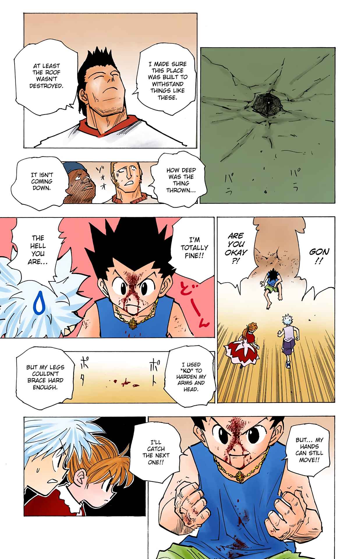 Hunter x Hunter (Official Colored) Chapter 163 - Page 11