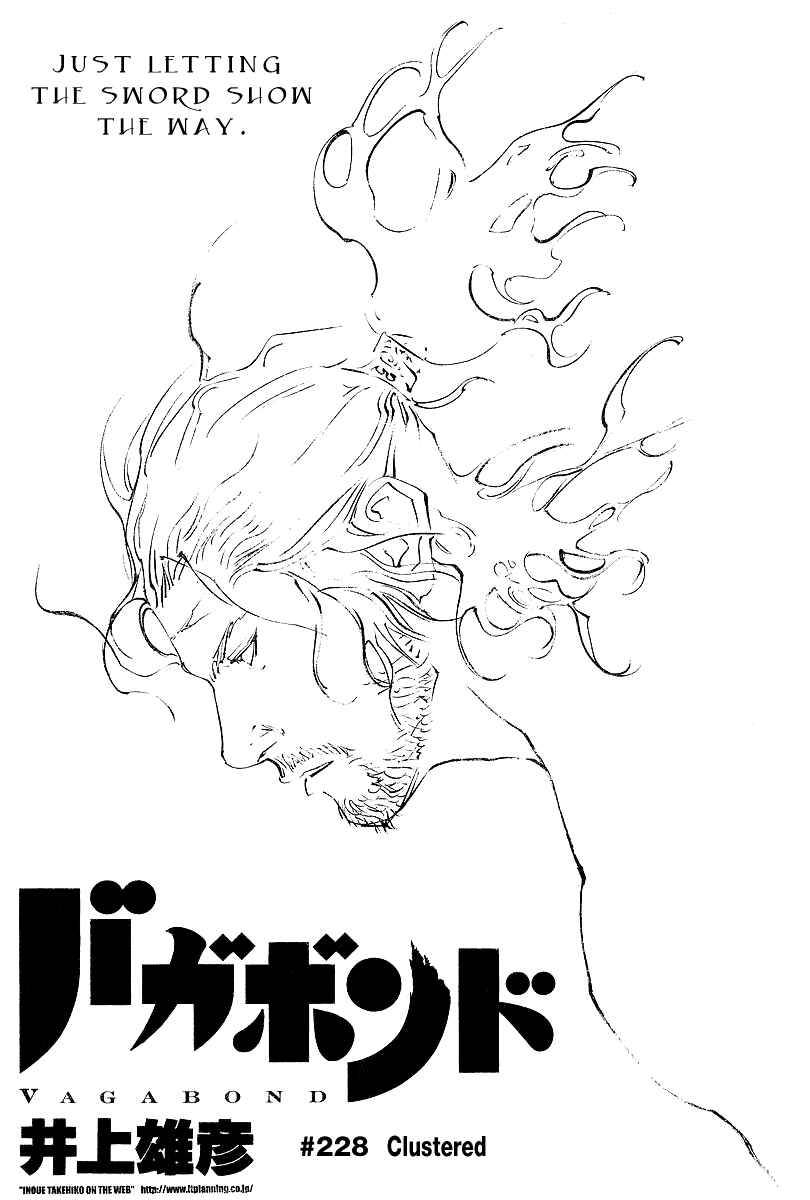 Vagabond Chapter 228 - Page 1