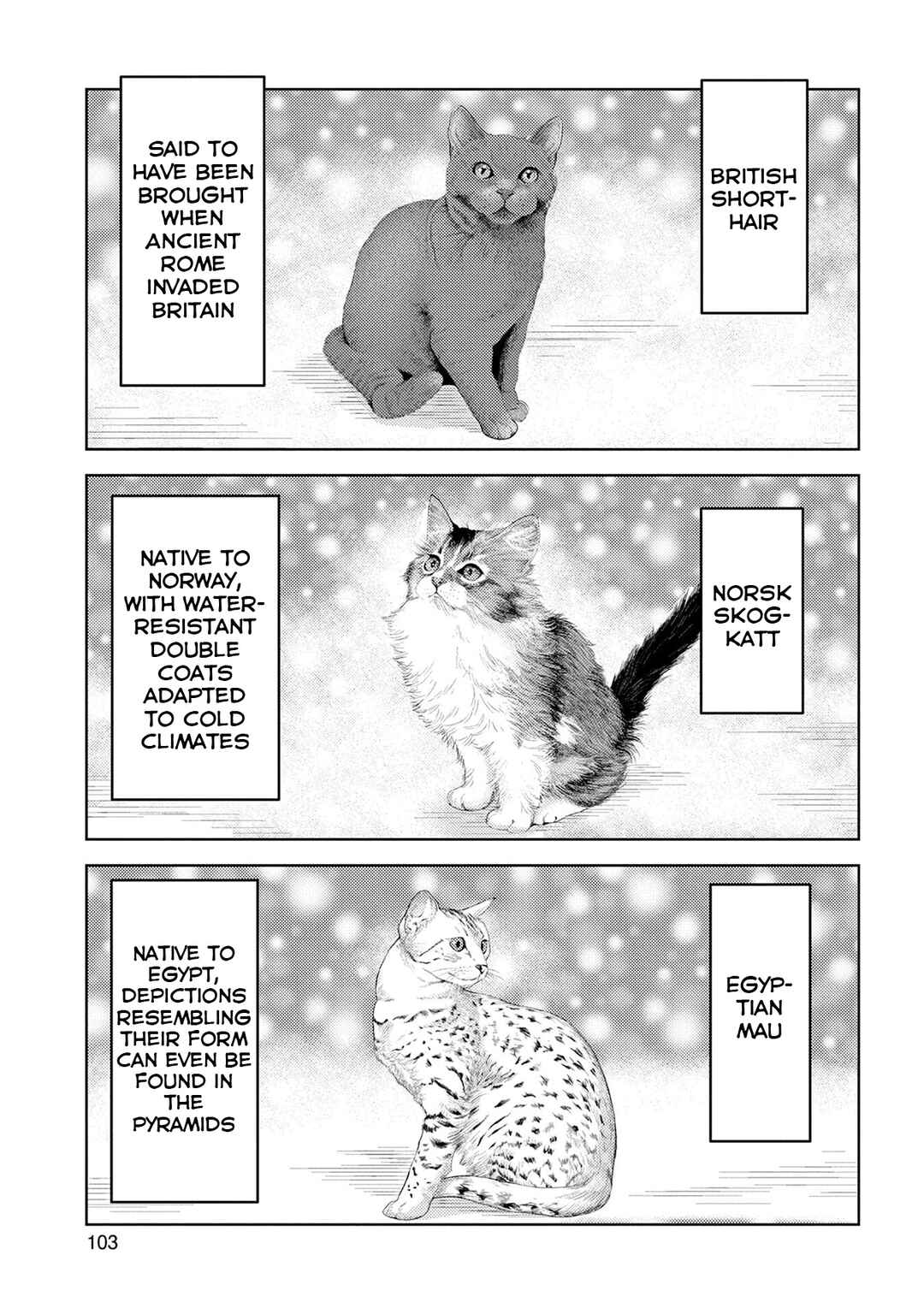 Sengoku Komachi Kuroutan Chapter 89 - Page 14