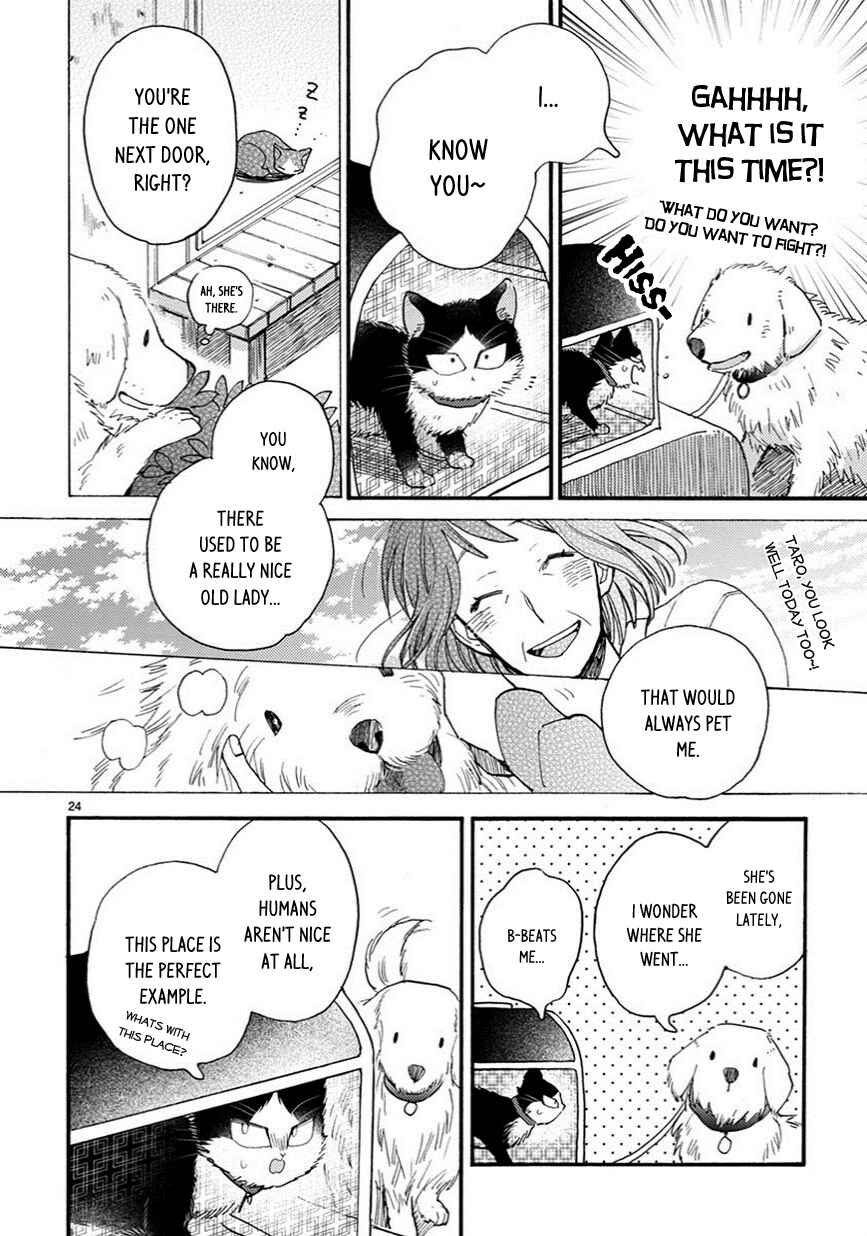 Doukyonin wa Hiza, Tokidoki, Atama no Ue. Chapter 7.5 - Page 9