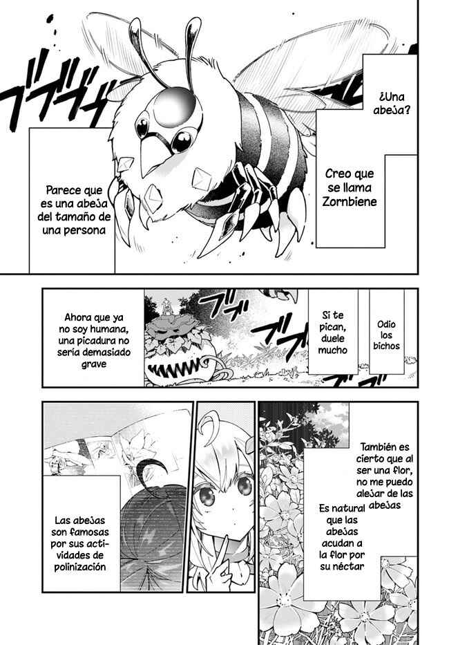 Shokubutsu Monster Musume Nikki: Seijo datta Watashi ga Uragirareta Hate ni Alraune ni Tensei Shite Shimatta node, kore kara wa Kougousei o Shinagara Shizuka ni Shokubutsu Life o Sugoshimasu Chapter 2 - Page 11