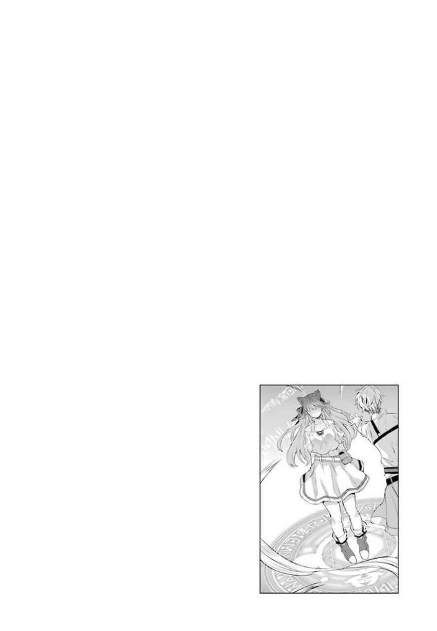 Yuusha Party wo Tsuihou sareta Beast Tamer, Saikyoushu no Nekomimi Shoujo to Deau Chapter 2 - Page 26