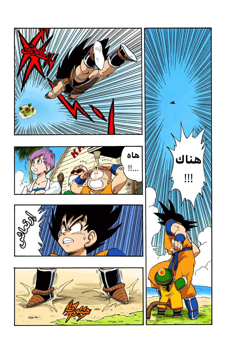 Dragon Ball (Official Colored) Chapter 196 - Page 10