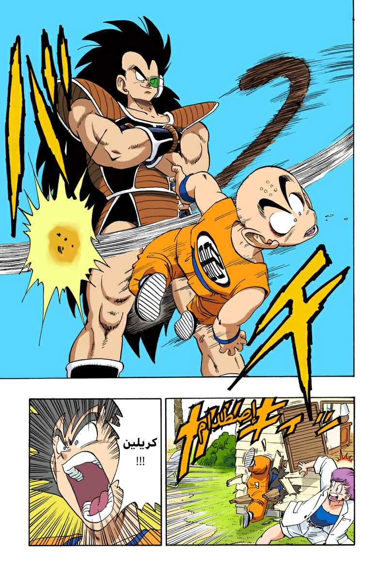 Dragon Ball (Official Colored) Chapter 196 - Page 13