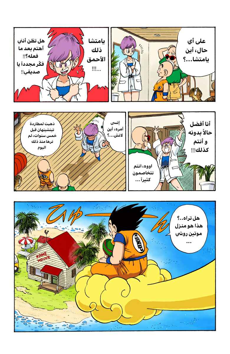Dragon Ball (Official Colored) Chapter 196 - Page 3