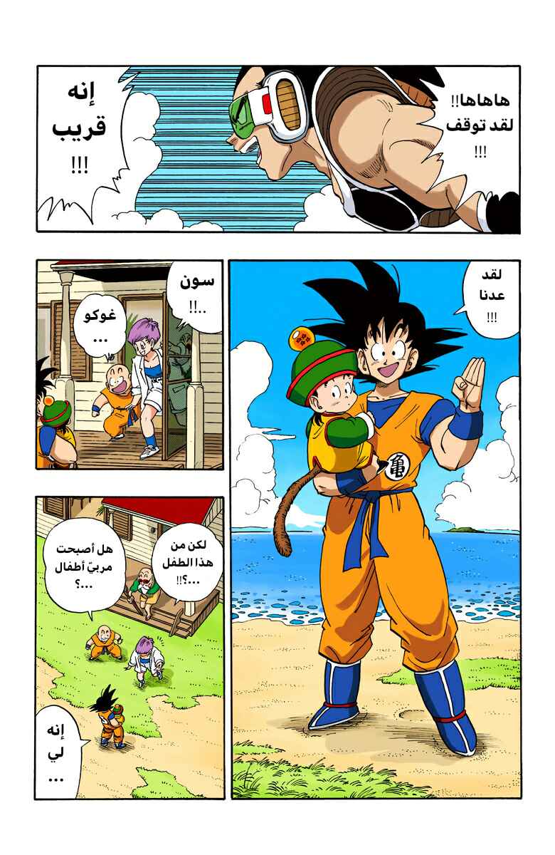 Dragon Ball (Official Colored) Chapter 196 - Page 5