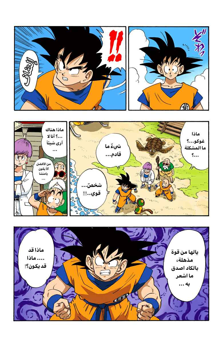 Dragon Ball (Official Colored) Chapter 196 - Page 9