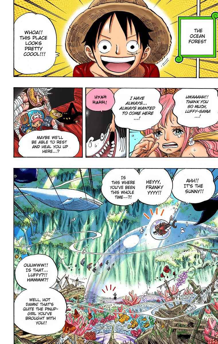 One Piece (Official Colored) Chapter 619 - Page 9