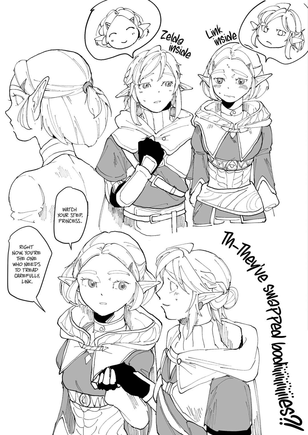 Hikotei's Legend of Zelda Body Swap Twitter Comics Chapter 1 - Page 1