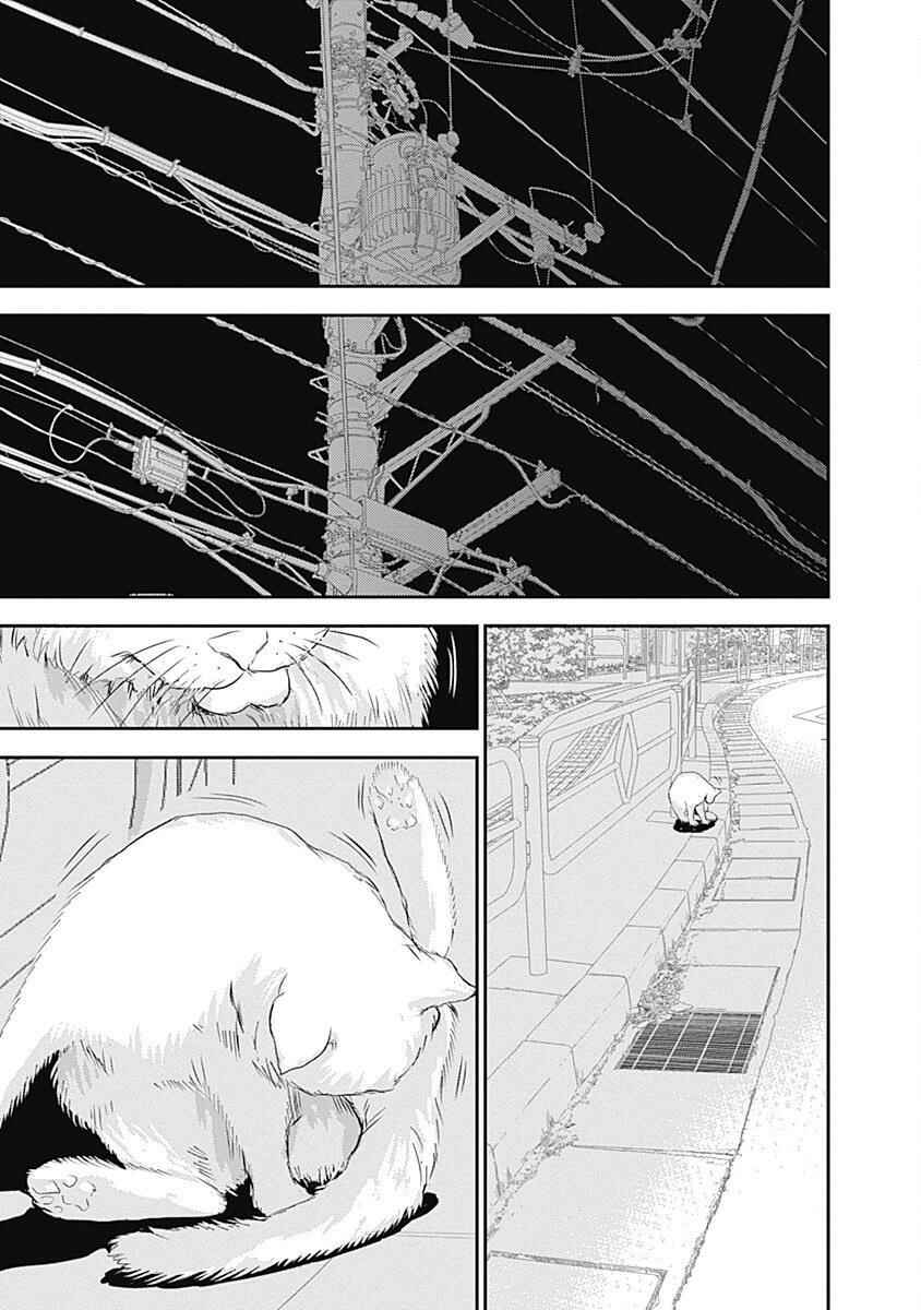 Minamoto-kun Monogatari Chapter 203 - Page 10