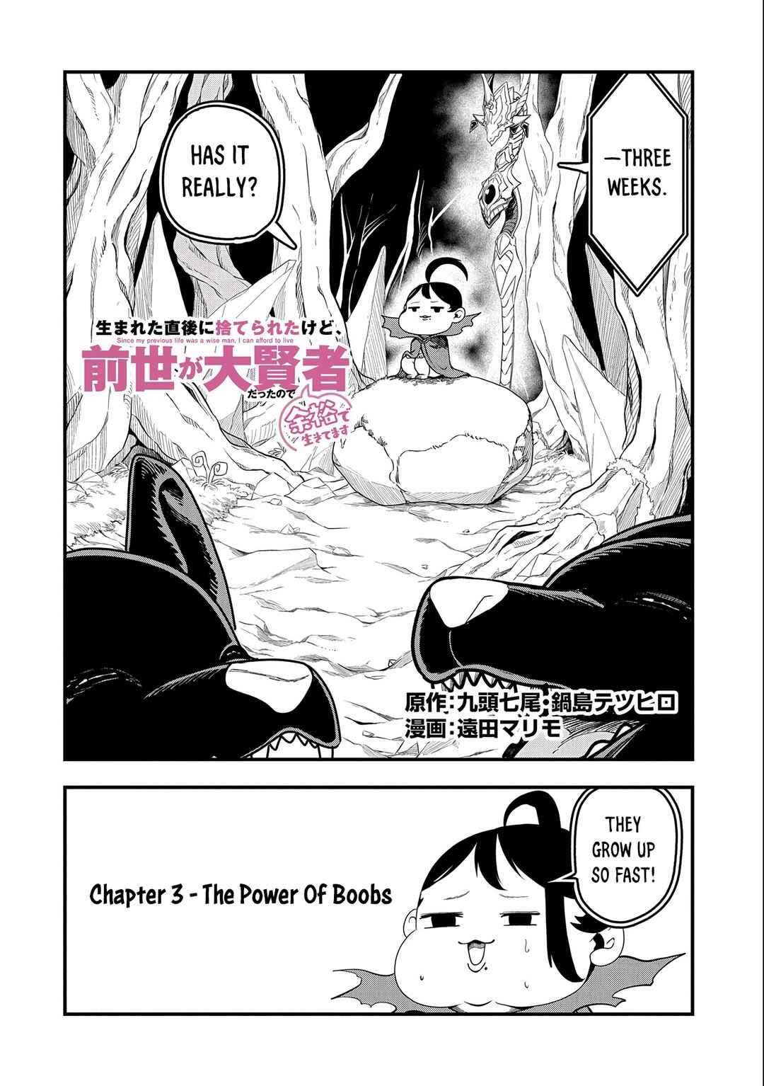 Umareta Chokugo ni Suterareta kedo, Zense ga Daikenja Datta node Yoyuu de Ikitemasu ~Saikyou Akachan Daibousou~ Chapter 3 - Page 4