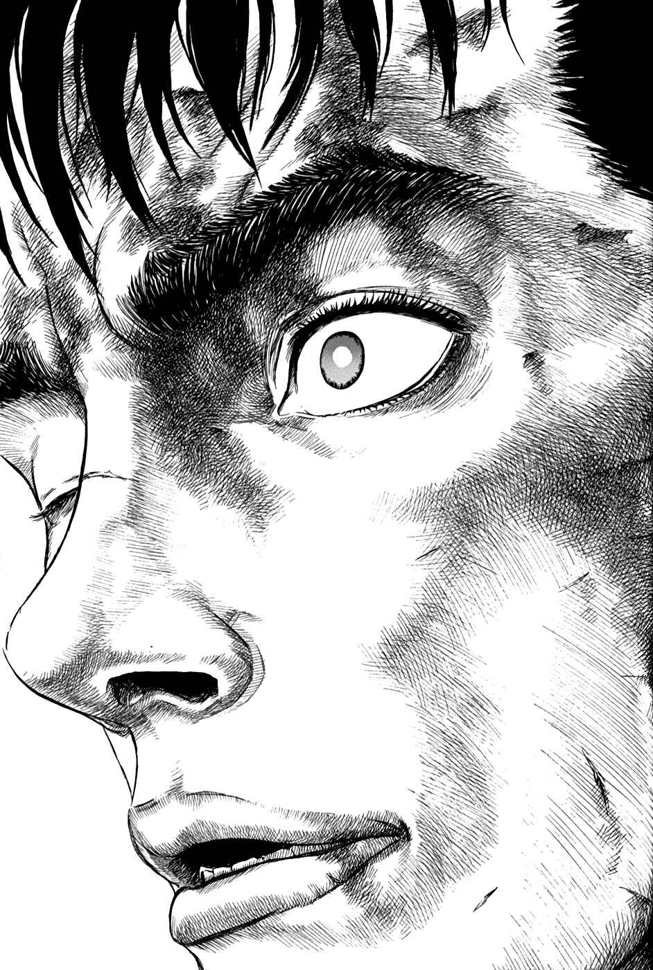 Berserk Chapter 175 - Page 2