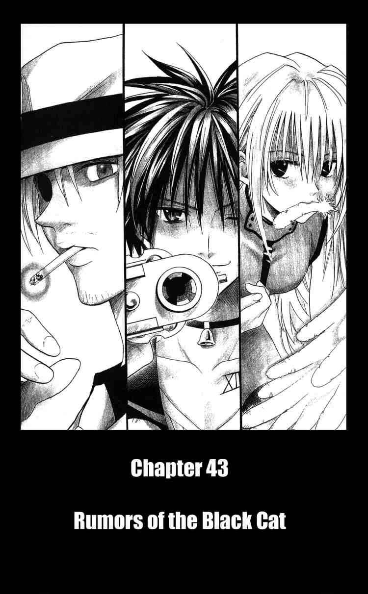 Black Cat Chapter 43 - Page 1