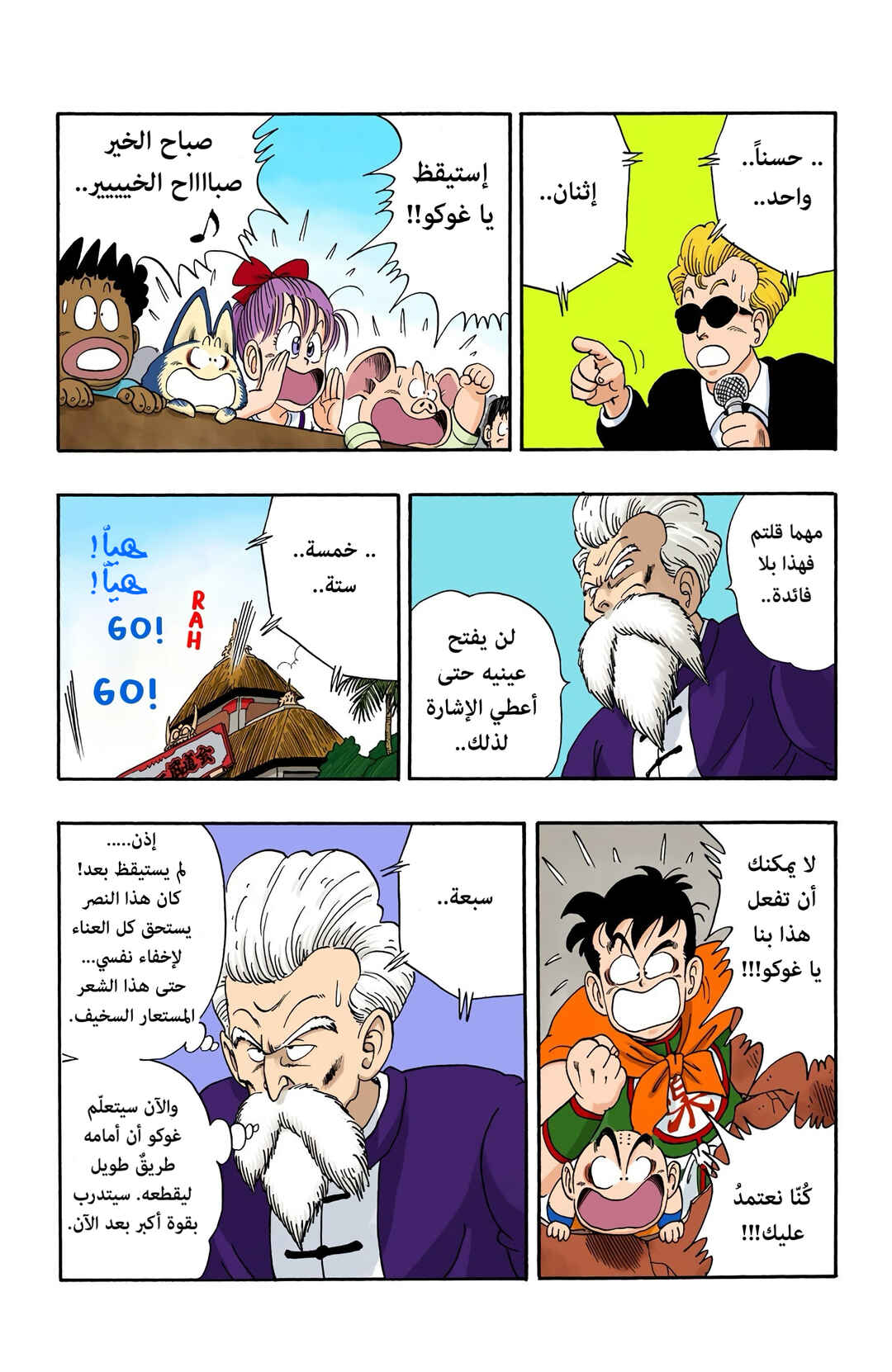 Dragon Ball (Official Colored) Chapter 49 - Page 10