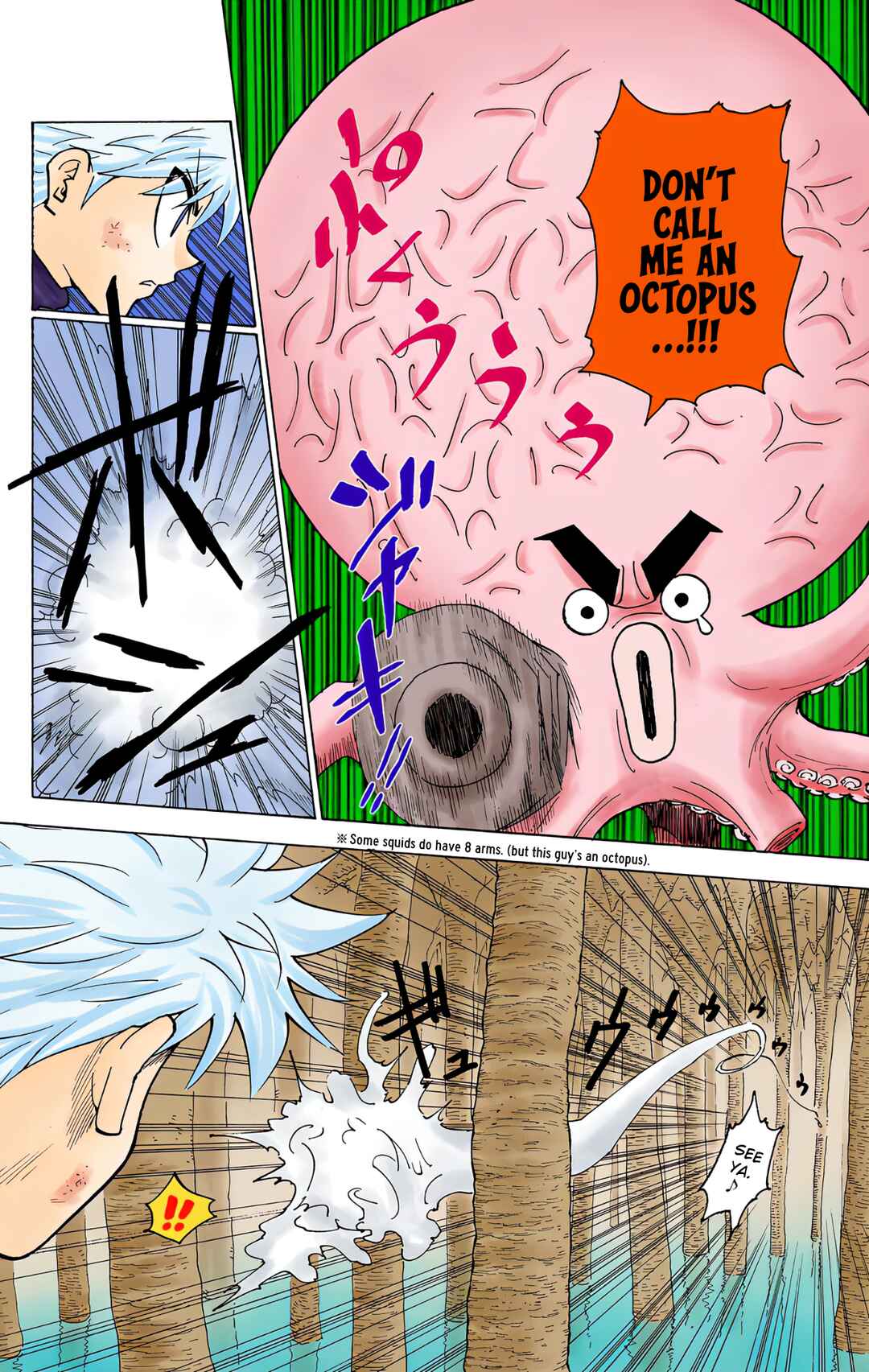 Hunter x Hunter (Official Colored) Chapter 238 - Page 4