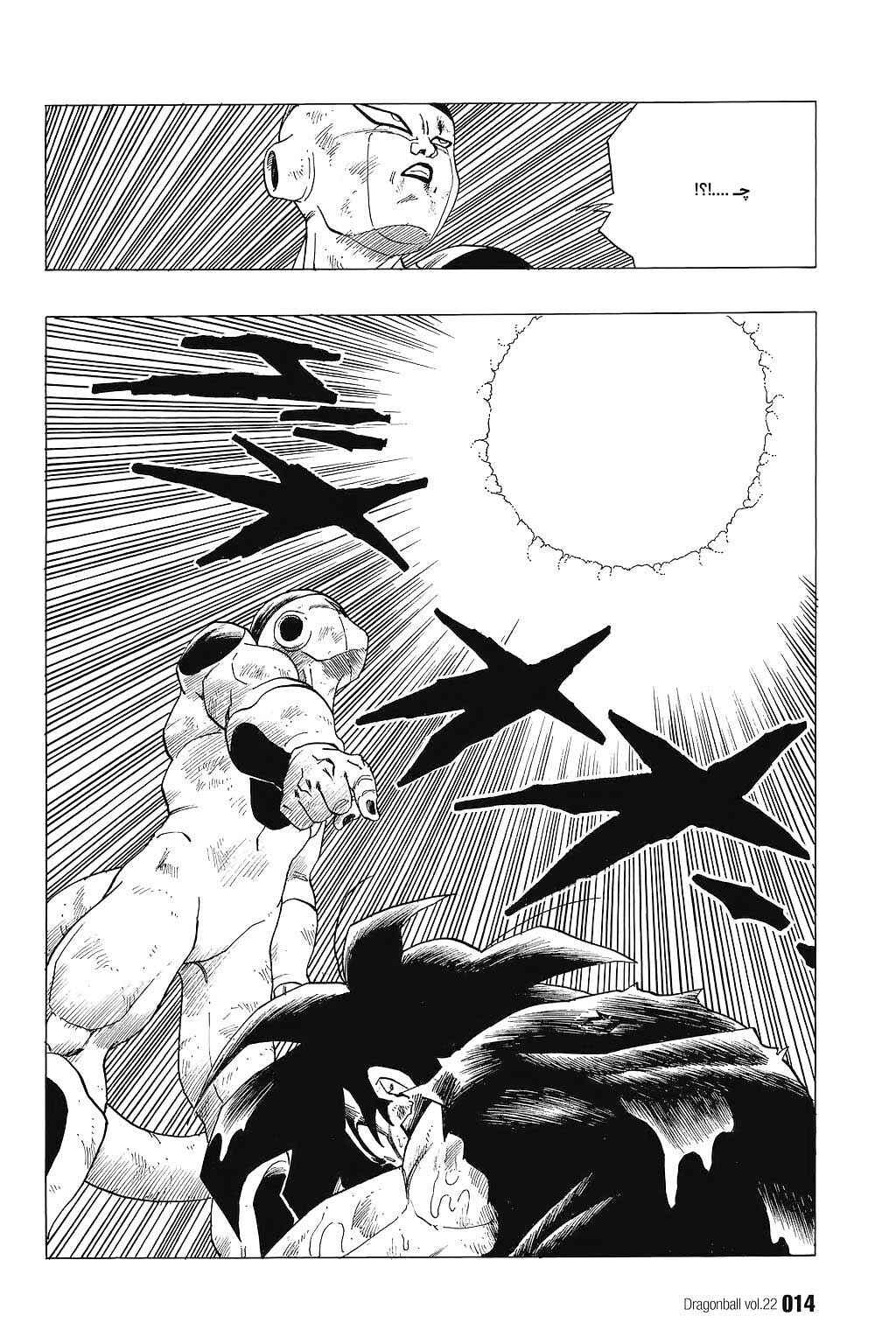 Dragon Ball Chapter 315 - Page 11