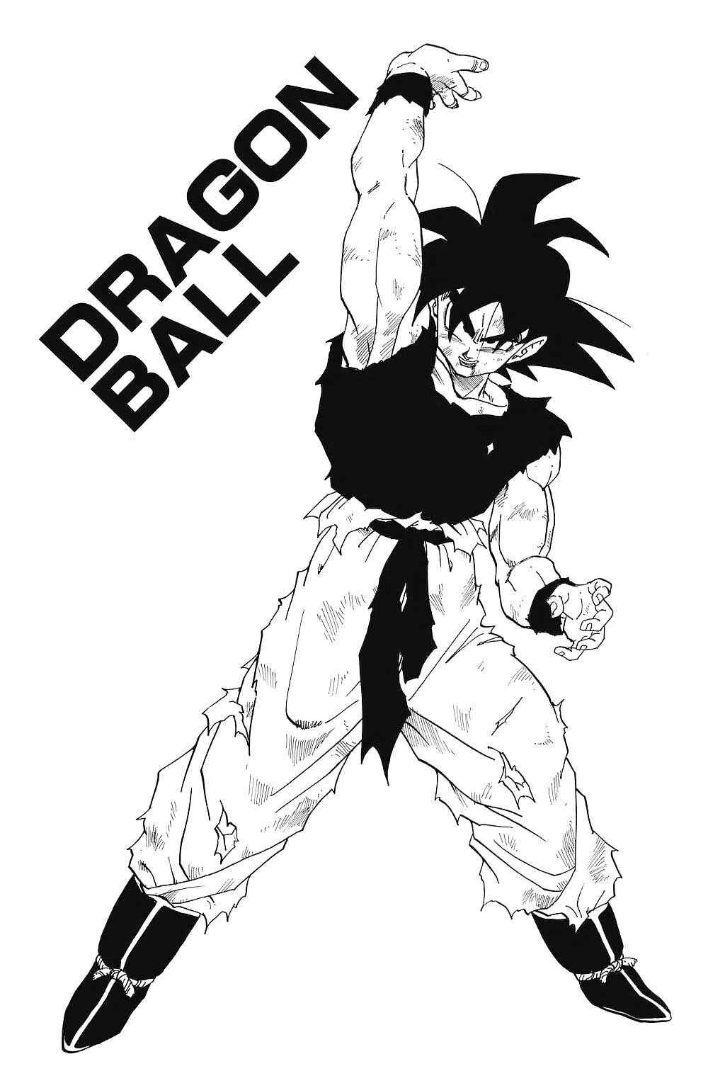 Dragon Ball Chapter 315 - Page 2